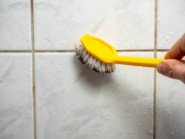 Best Residential Mold Removal  in St Peter, MN