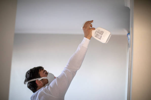 Best Attic Mold Removal  in St Peter, MN