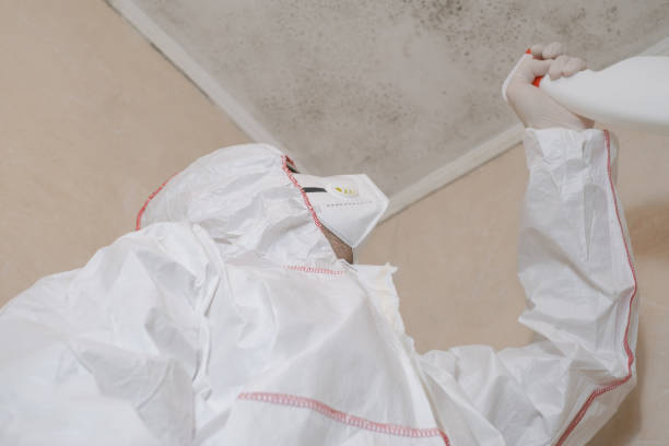 Best Crawl Space Mold Removal  in St Peter, MN