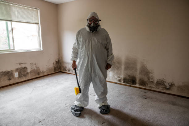 Best Mold Testing  in St Peter, MN